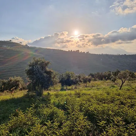 Del Carrubo A Due Passi Dal Mare Di Cefalu Villa Collesano