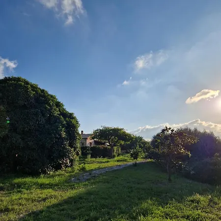 Del Carrubo A Due Passi Dal Mare Di Cefalu * Collesano