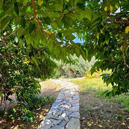 Del Carrubo A Due Passi Dal Mare Di Cefalu 빌라 *