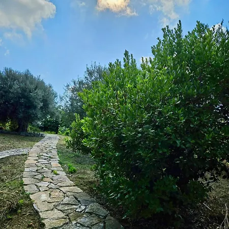 Βίλα Del Carrubo A Due Passi Dal Mare Di Cefalu