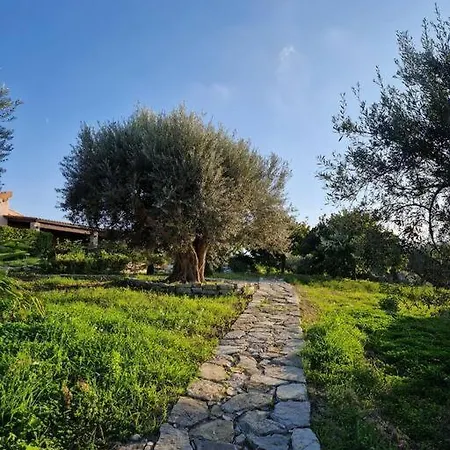 Del Carrubo A Due Passi Dal Mare Di Cefalu *