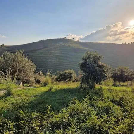 Del Carrubo A Due Passi Dal Mare Di Cefalu *